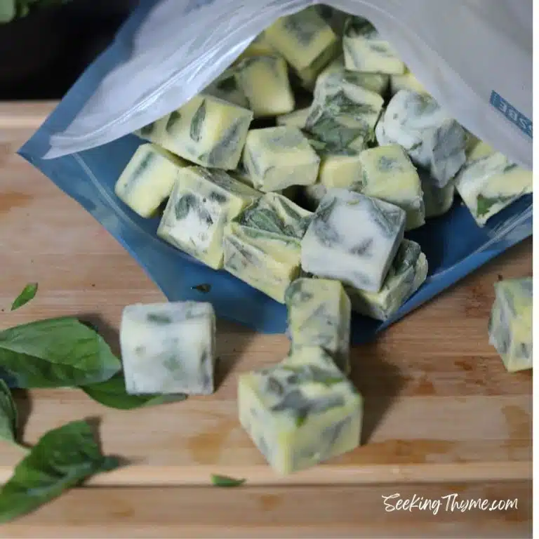 The best way to freeze fresh basil fast, is in olive oil!